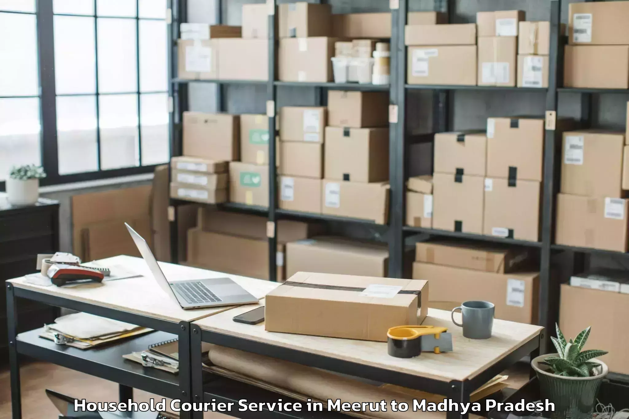 Efficient Meerut to Sanwer Household Courier